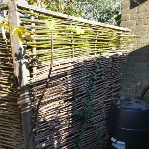 Petra reperatie wilgen schutting